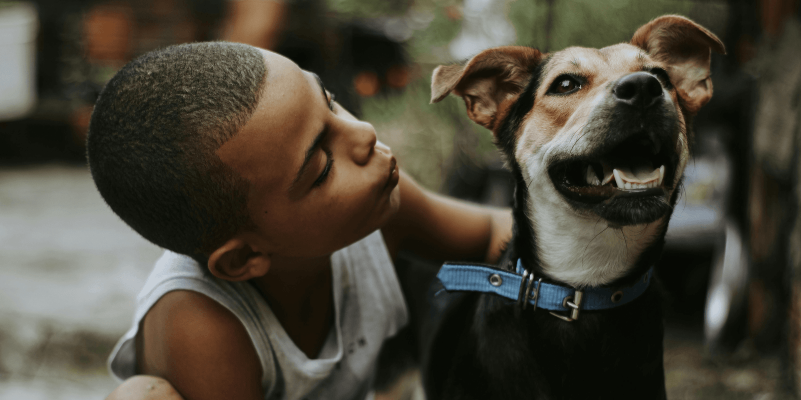 Adopción responsable en el Día Mundial del Perro