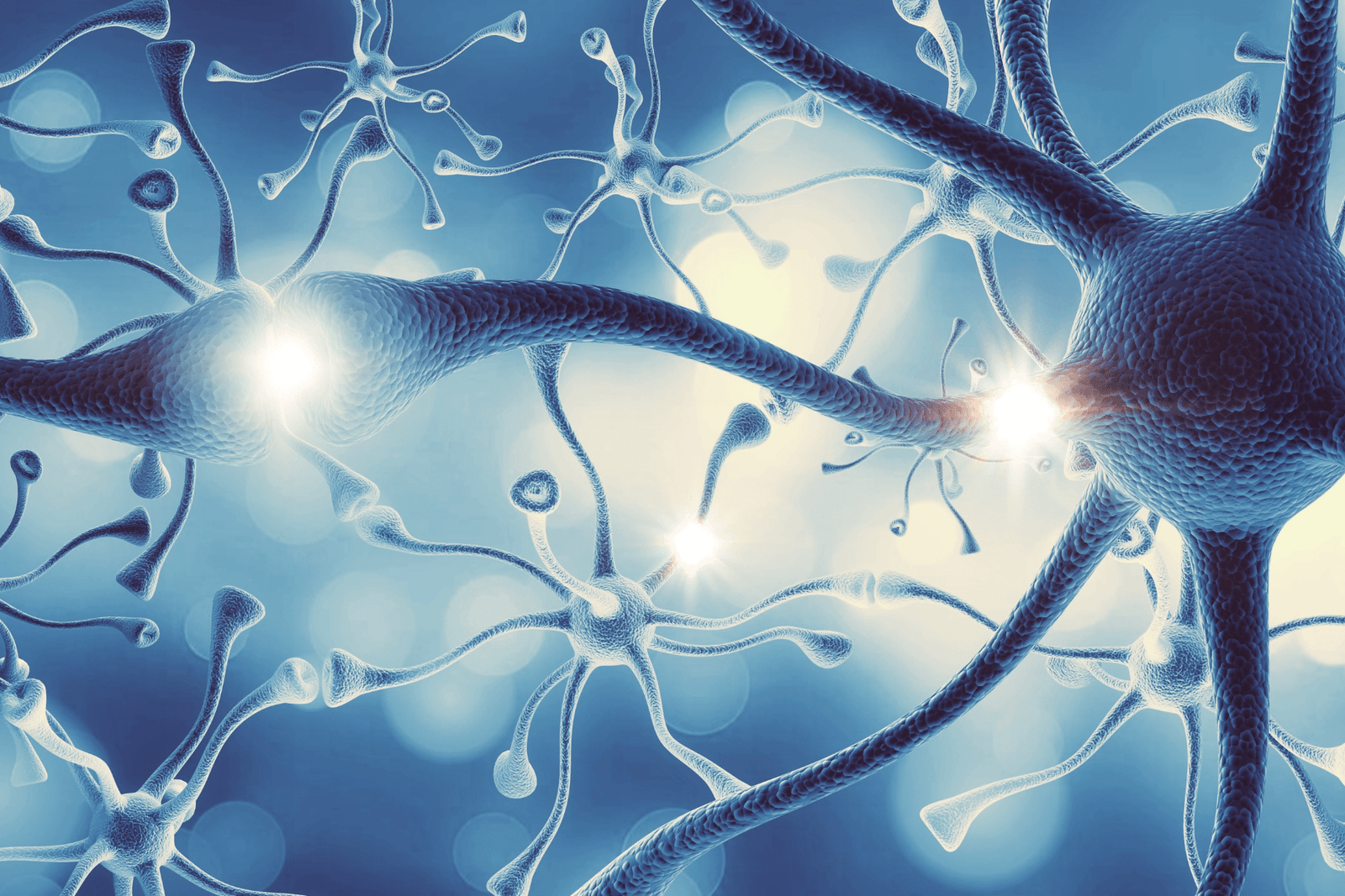 Neurotransmisores 