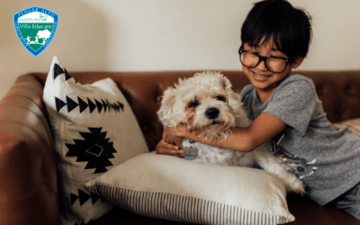 Día del Perro: Amor, responsabilidad y conciencia al adoptar